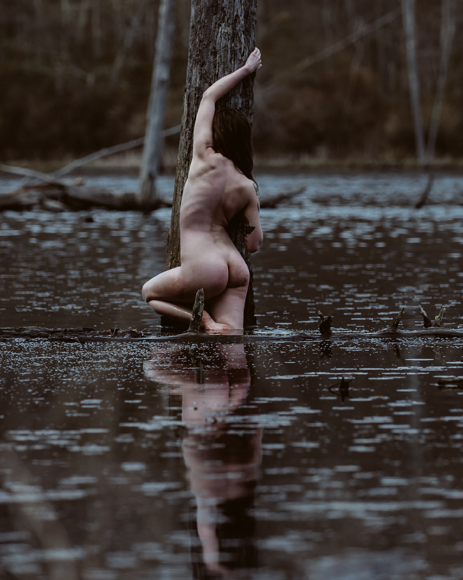 Kristian Quistgaard, 2017