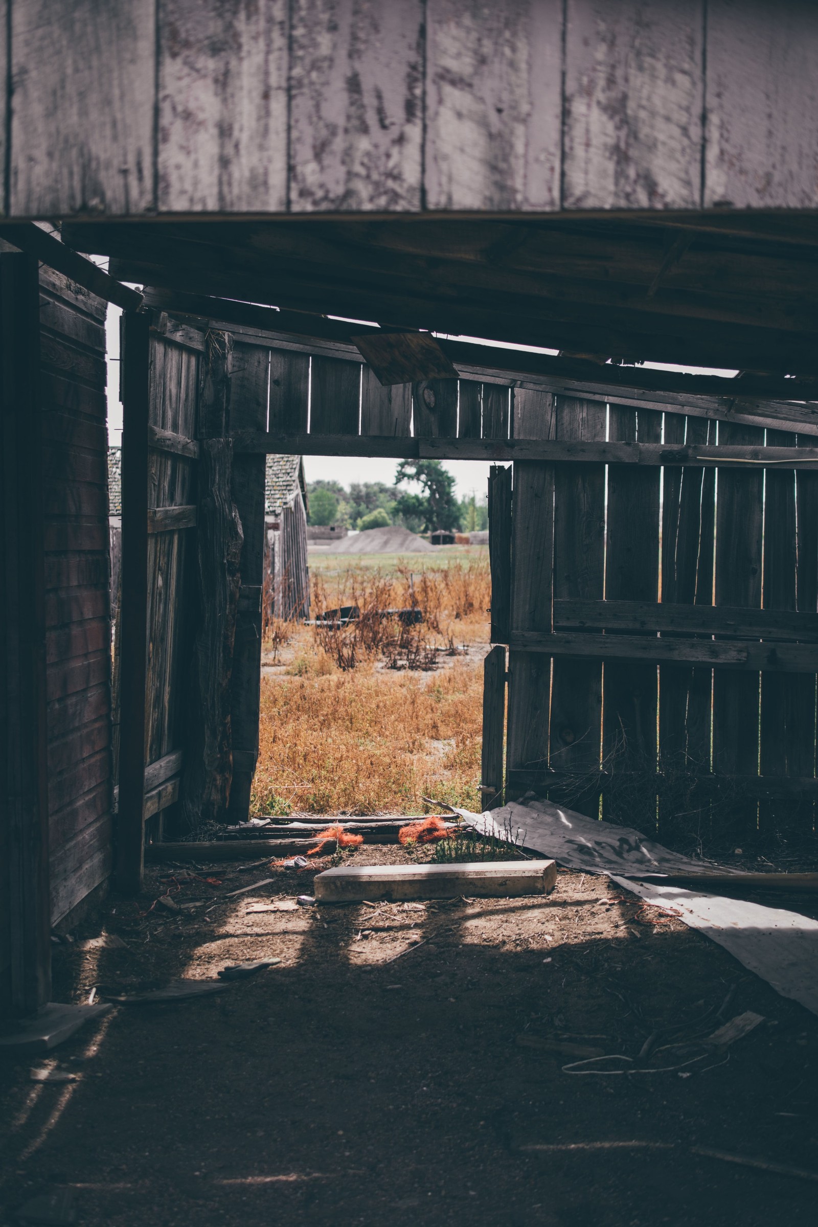 Abandoned Farm