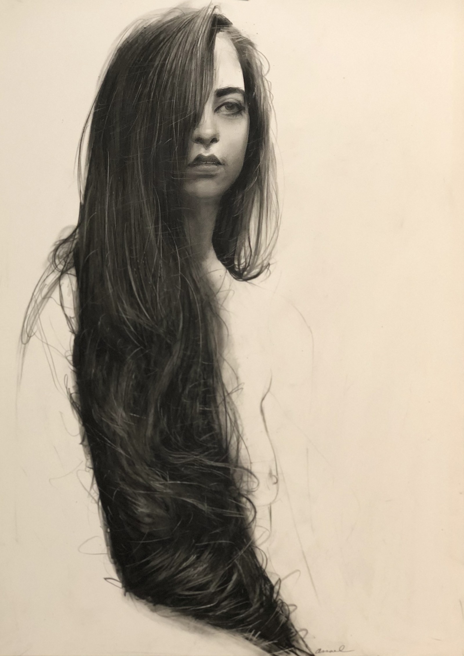Steven Assael, 2019
