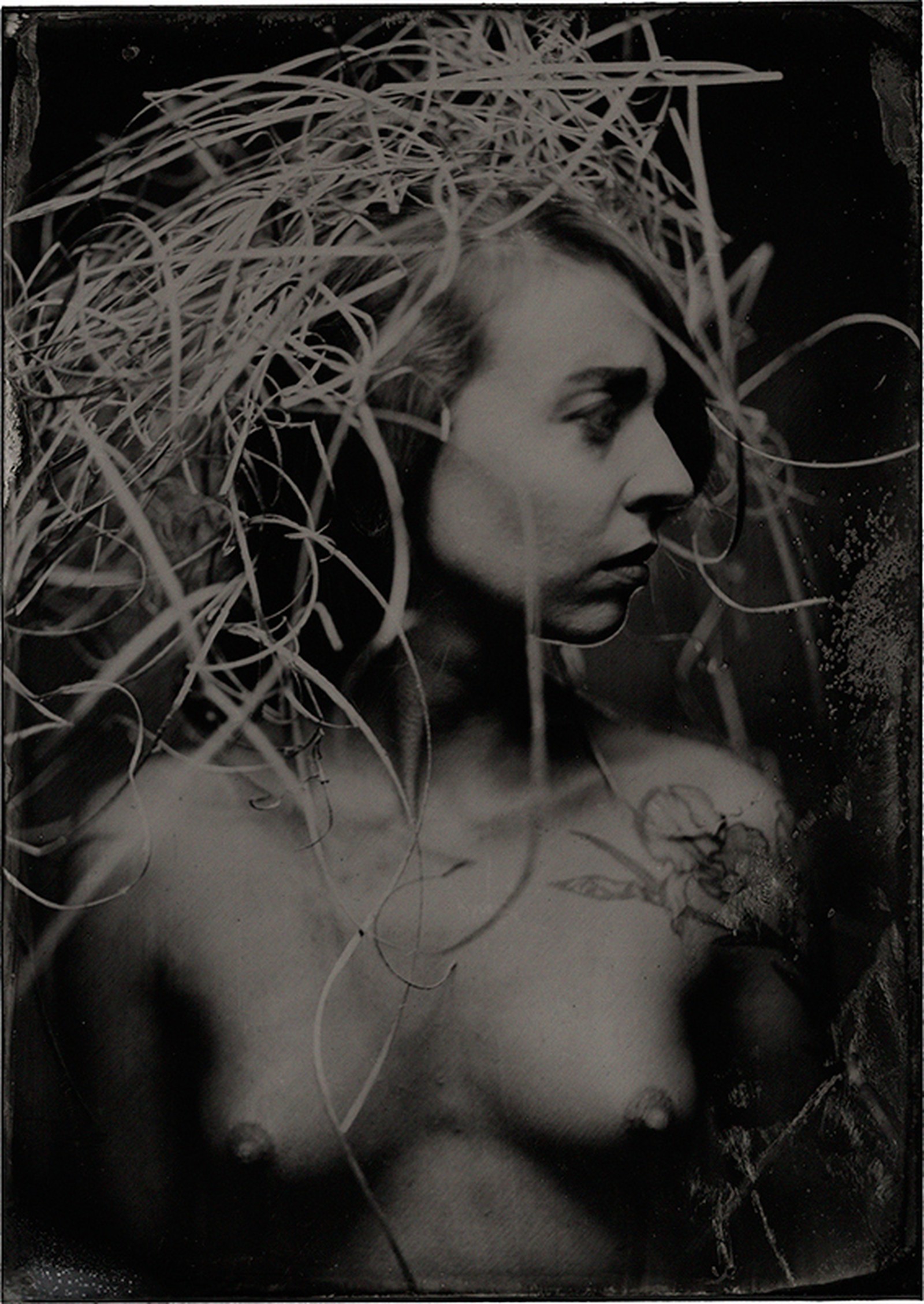 James Wigger, 2016
