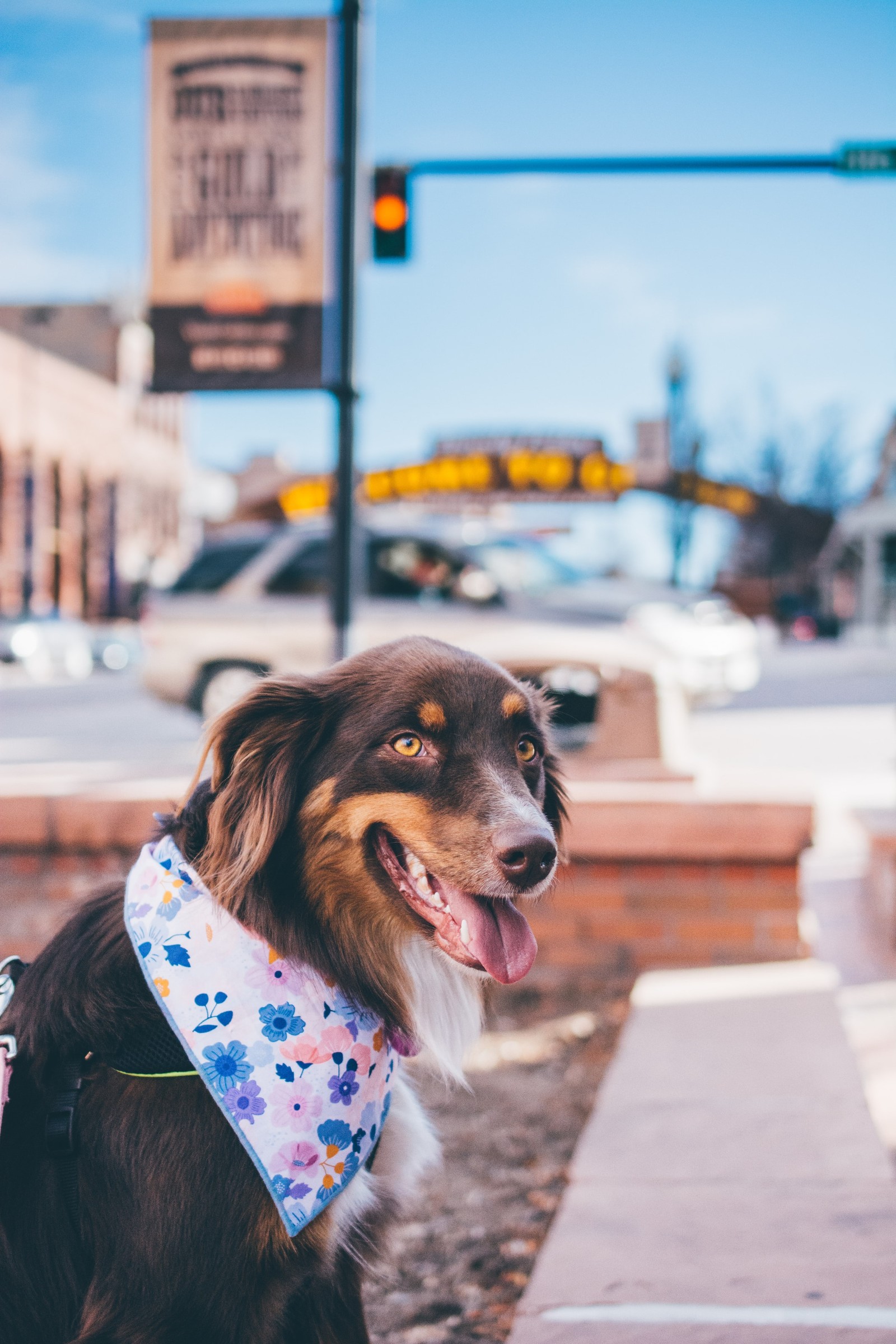 Roja in Golden, CO