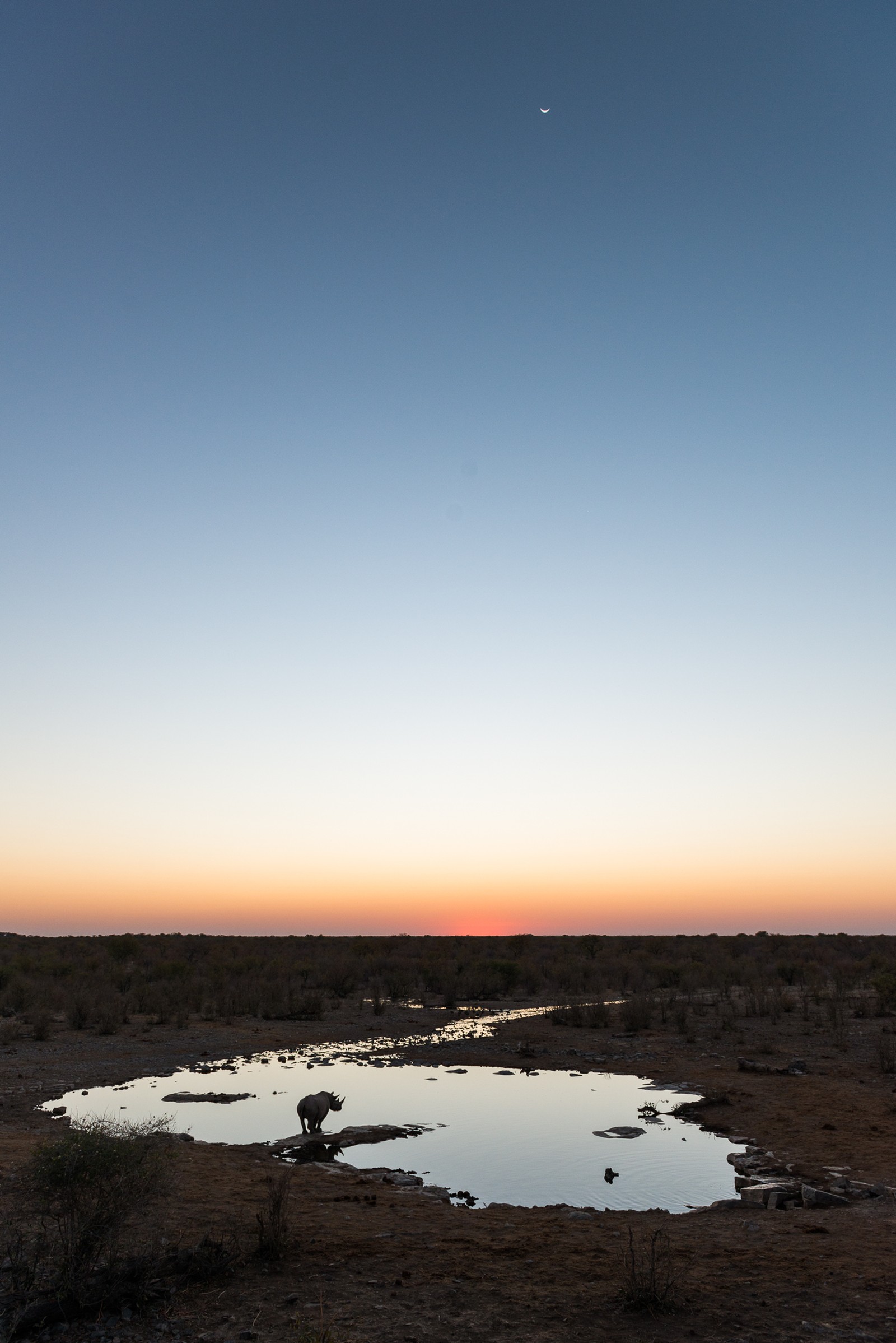 Etosha National Park, Namibia
