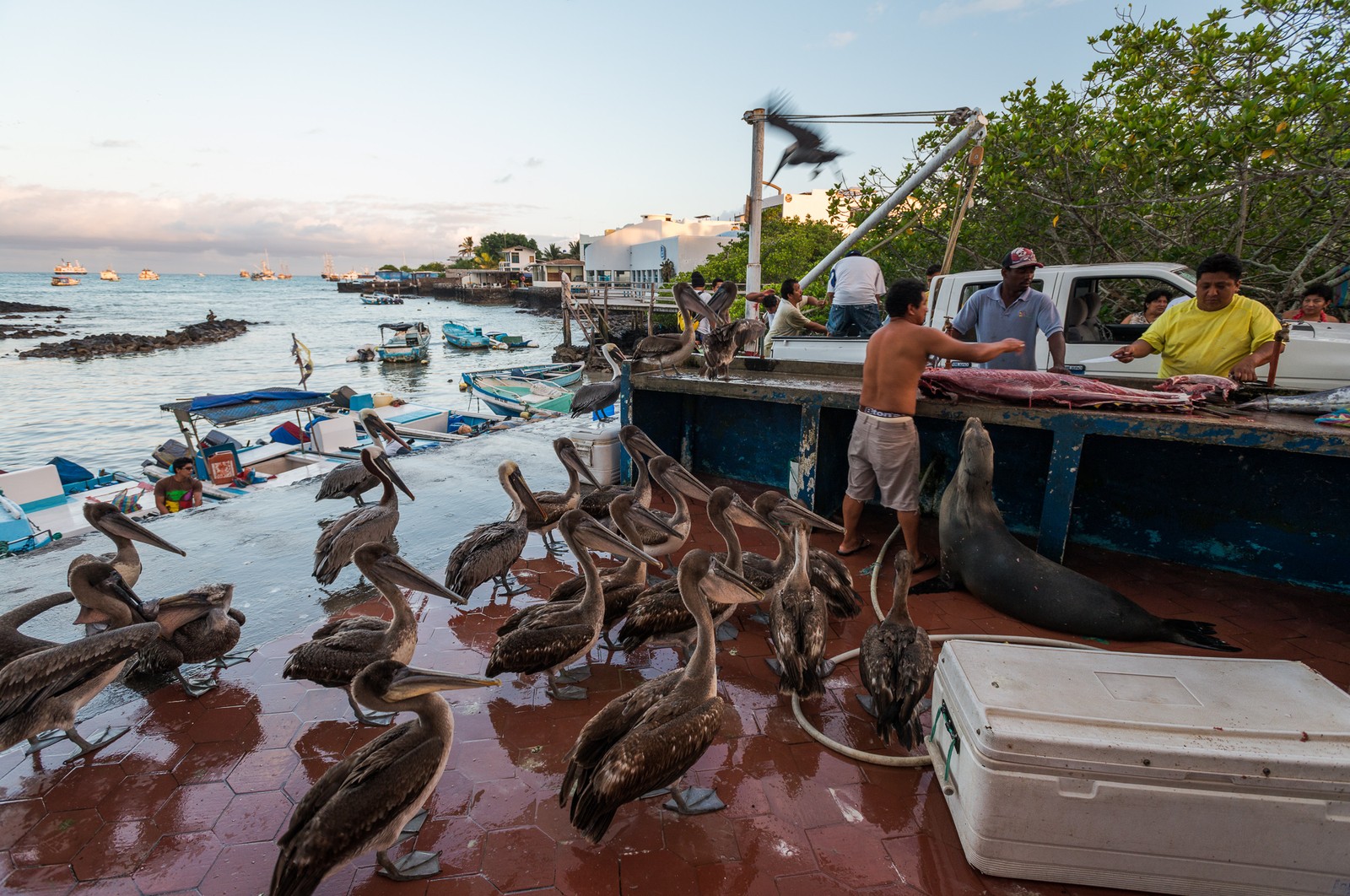Galapagos Islands, Ecuador