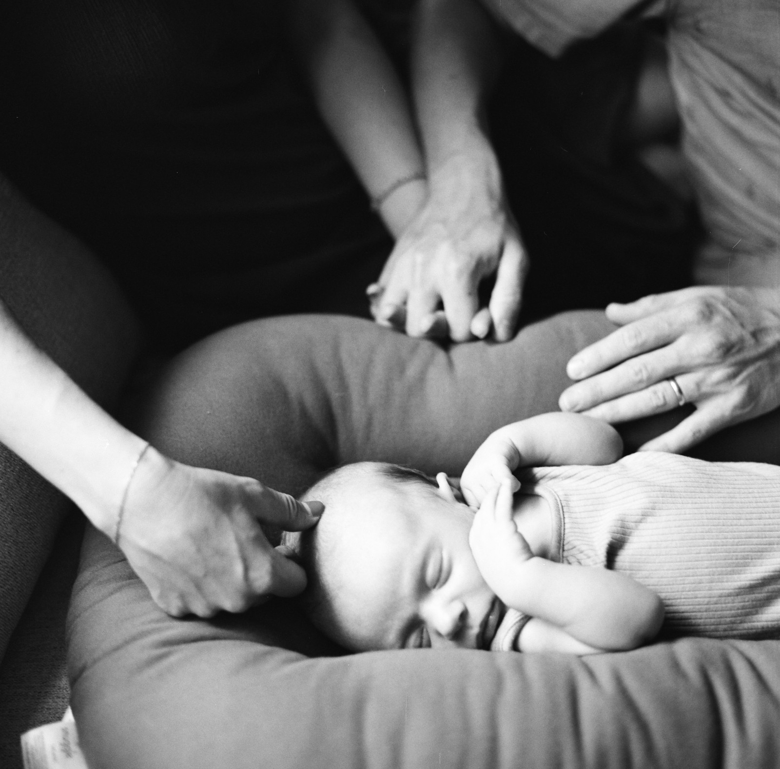 Stein family, 2022