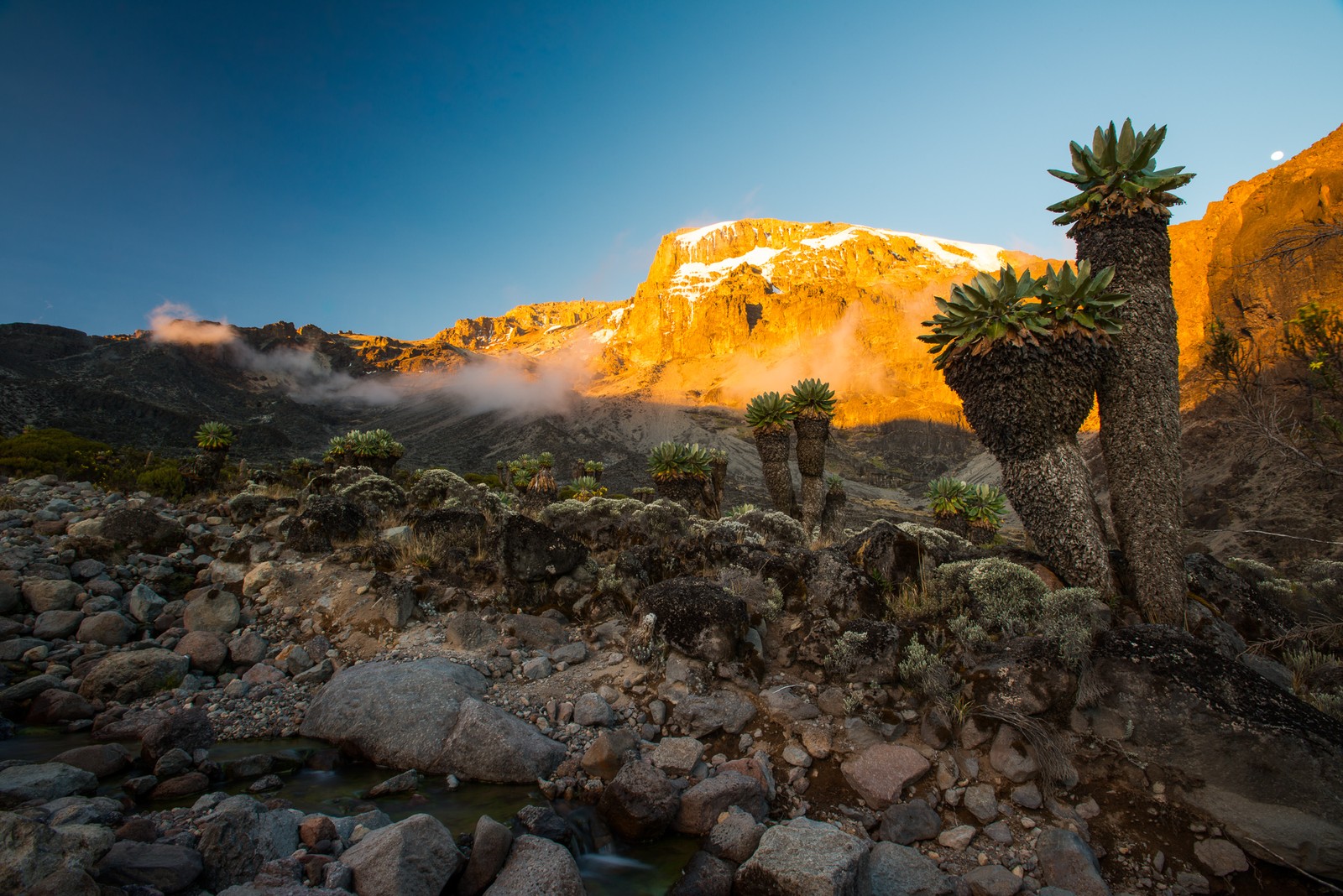 Mt. Kilimanjaro, Tanzania