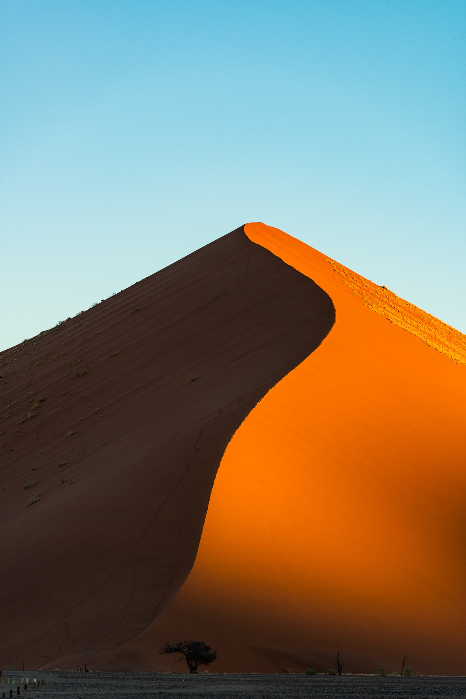 Namib-Naukluft National Park, Namibia