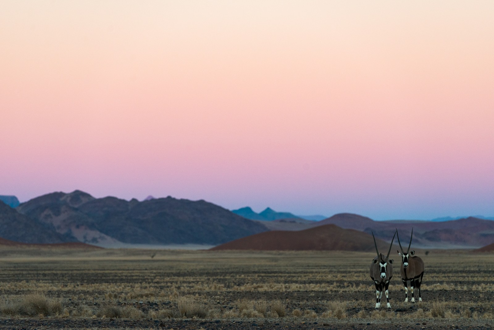 Namib-Naukluft National Park, Namibia