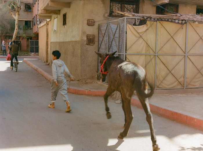 Kid with donkey, Daoudiate 