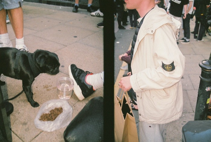 Pug + Tin, NQ 2018