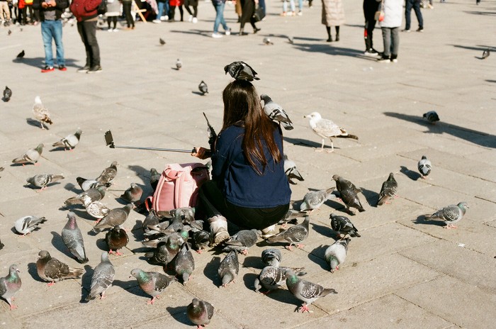 Venice, 2019