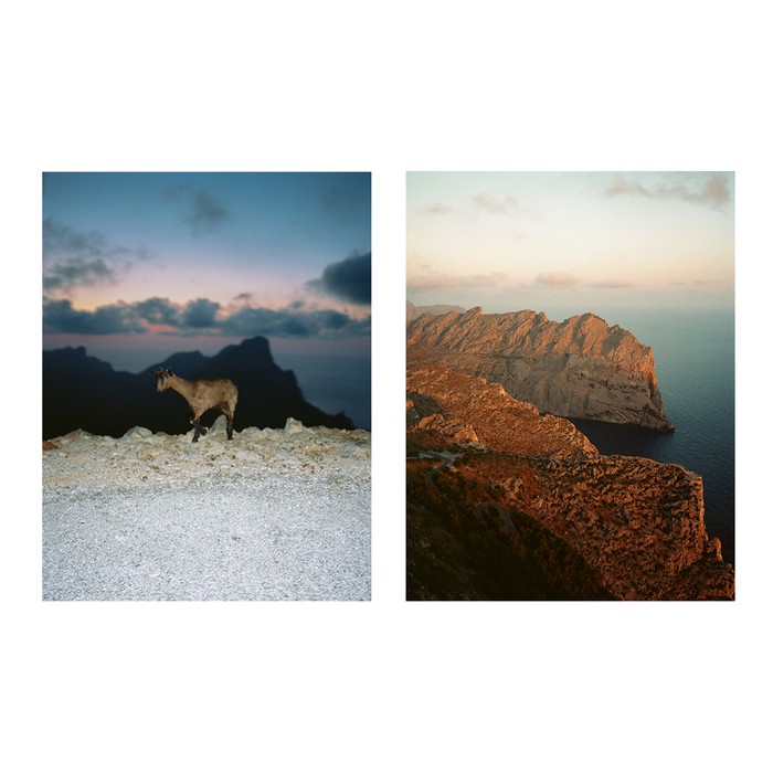 Baby goat + sunrise, North Mallorca - 2021