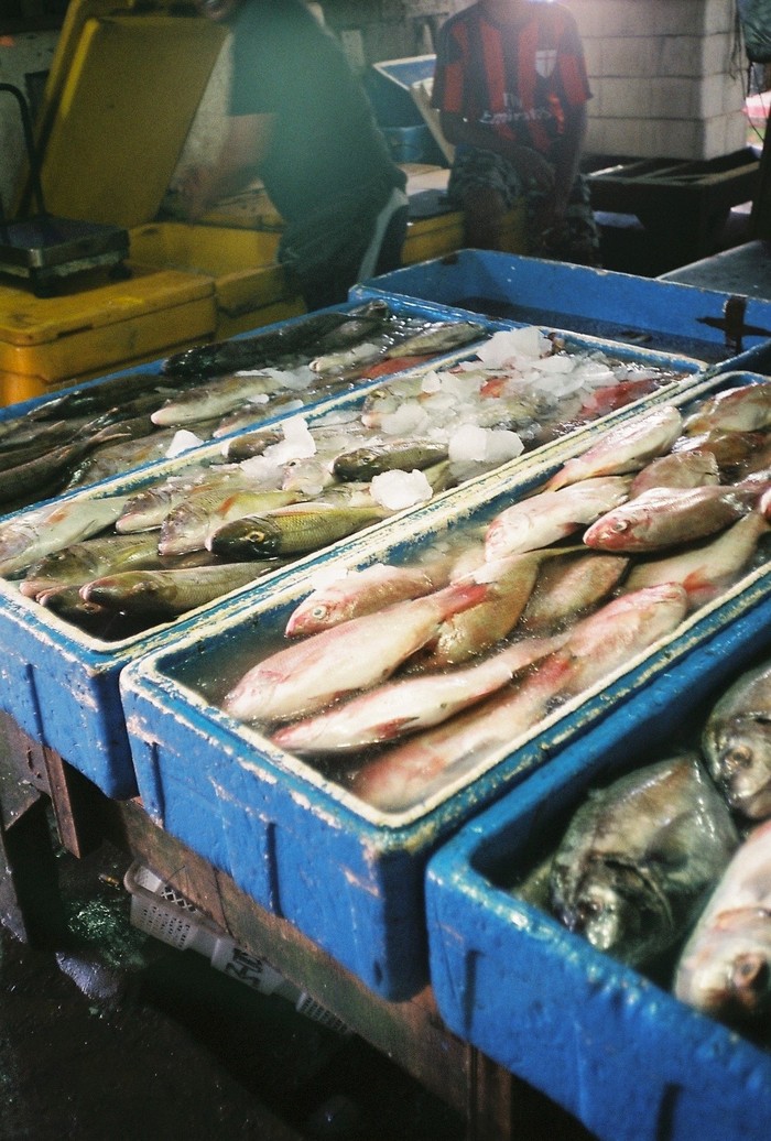 Fish in Jimbaran fish market, Bali 2018